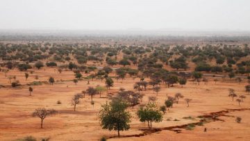 image Sahel