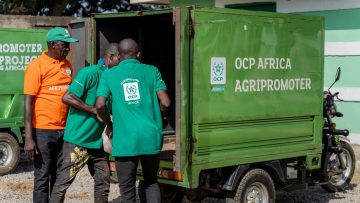 OCP Nigeria