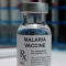 vaccin paludisme