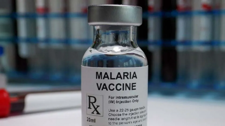 vaccin paludisme