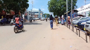 paddh01