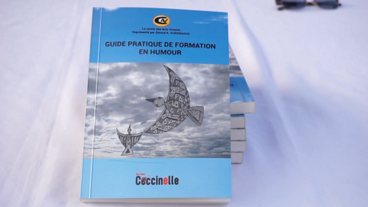 Guide pratique en humour